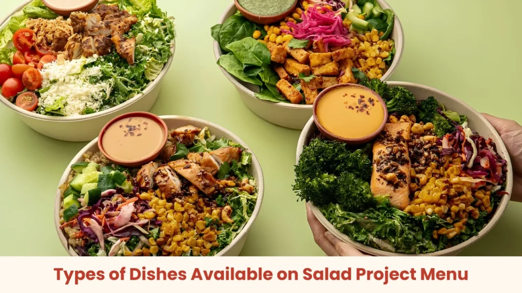 Types of Dishes Available on Salad Project Menu