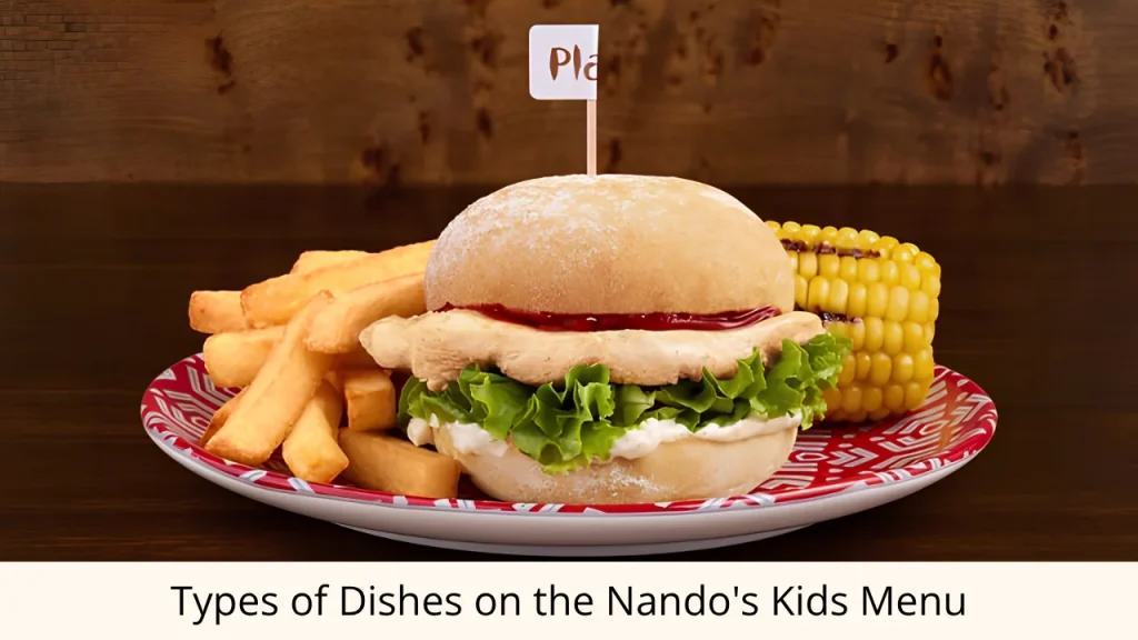 Types of Dishes on the Nando's Kids Menu
